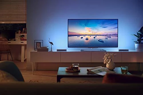 Philips Hue Dviejų šviestuvų juostų Play komplektas (Balta ir spalvota)