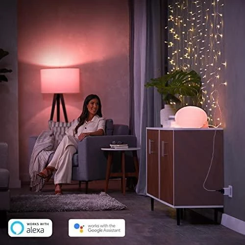 Philips Hue | Hue Smart Plug Type F | ZigBee šviesos nuoroda | Baltas