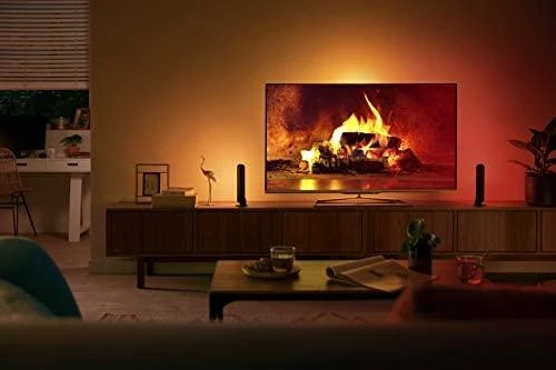 Philips Hue Dviejų šviestuvų juostų Play komplektas (Balta ir spalvota)