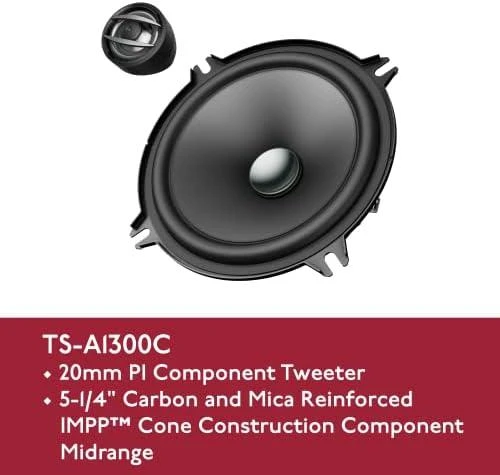 Pioneer TS-A1300C