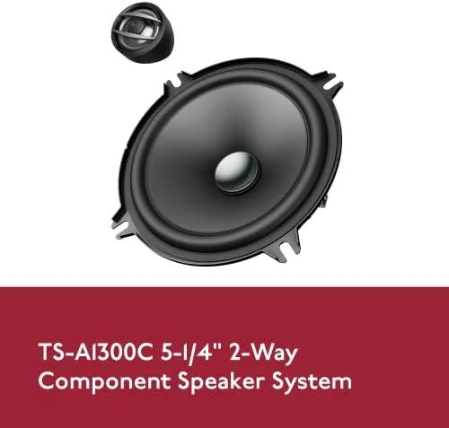 Pioneer TS-A1300C