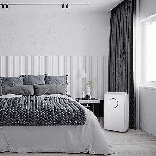 Platinet PAPHEPA13 oro valytuvas