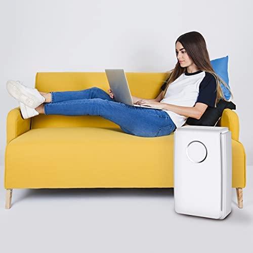 Platinet PAPHEPA13 oro valytuvas