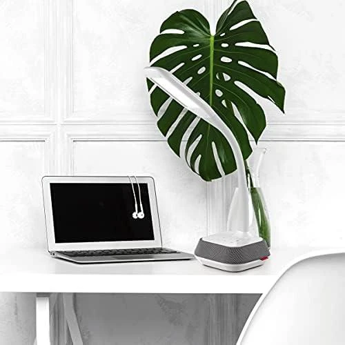 Platinet stalinė lempa su garsiakalbiu ir USB įkrovikliu PDLM6U 18W (44126)