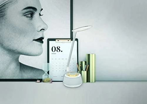 Platinet stalinė lempa su garsiakalbiu ir USB įkrovikliu PDLU9A 18W (44123)