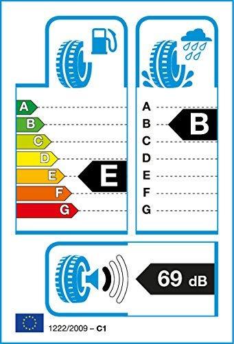 Nexen 225/50R17 NBLUE 4 SEASON 94V
