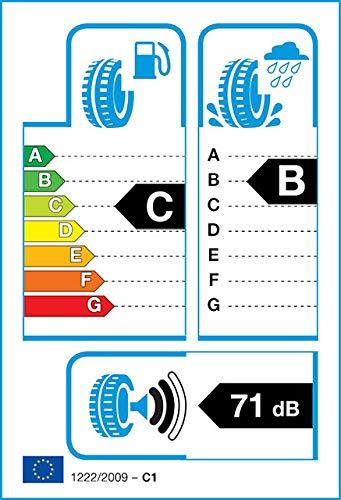 Falken 215/65R16 EUROALL SEASON AS210 98H