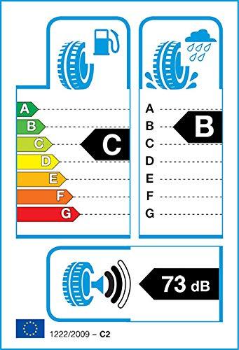 Continental Padangos VanContact Winter 115/113 R ( C B B 73dB )