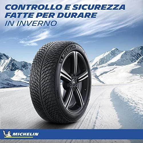 Michelin Padangos Pilot Alpin 5 104 V XL (C B A 71dB)