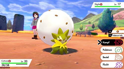 Nintendo Pokmon Schild, Nintendo Switch