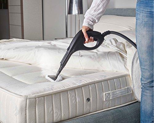Garinis valytuvas Vaporetto Smart 30 R, POLTI Spa