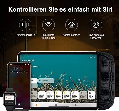 Gosund Nitebird "Gosund SP1-C" išmanusis lizdas "WiFi Apple Home Kit" (2 vnt.)