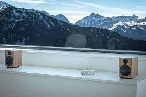 Stiprintuvas „Pro-Ject Speaker Box 3 E Carbon“ – 2 juostų lentyninė garsiakalbių sistema – riešutmedis