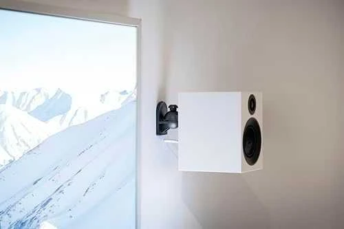 Stiprintuvas „Pro-Ject Speaker Box 3 E Carbon“ – 2 juostų lentyninė garsiakalbių sistema – riešutmedis