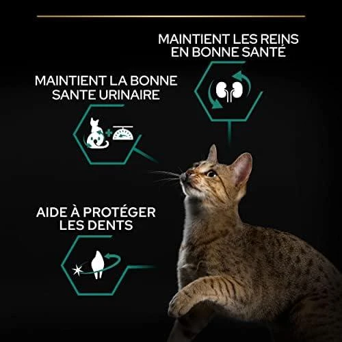Purina Pro Plan OPTIDIGEST Sterilised Adult Cat 1.5kg, suaugusių sterilizuotų kačių sausas pašaras su triušiena 12524320