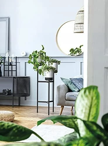 Prosperplast Kwietnik BLOOMIE STAND gėlių stovas - baltas