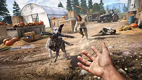 „Far Cry 5“ – „PlayStation 4“