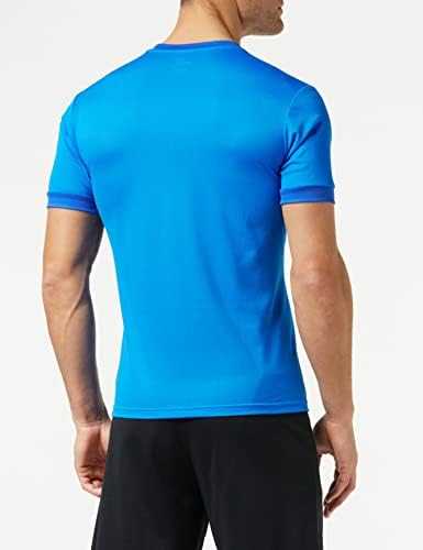 Puma teamGOAL 23 marškinėliai M 704171 02