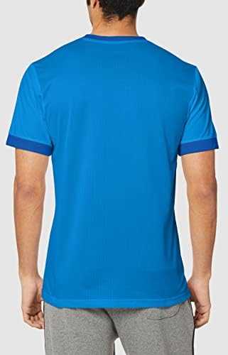 Puma teamGOAL 23 marškinėliai M 704171 02