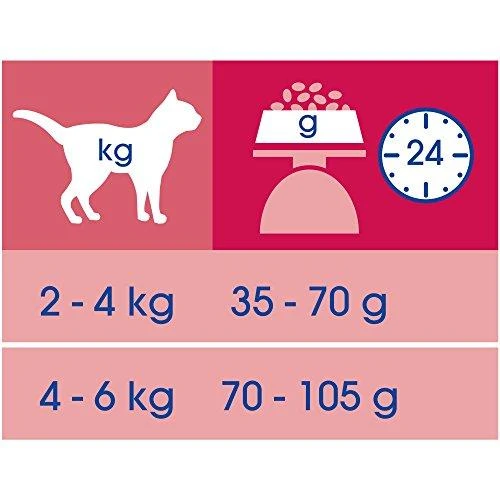 Purina Nestle Sausas Kačių Maistas - Purina Cat Chow Suaugusioms Katėms Su Vištiena