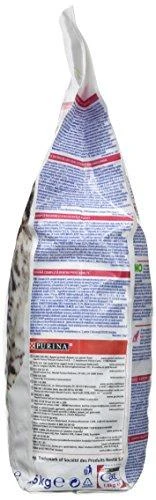 Purina Nestle Sausas Kačių Maistas - Purina Cat Chow Suaugusioms Katėms Su Vištiena