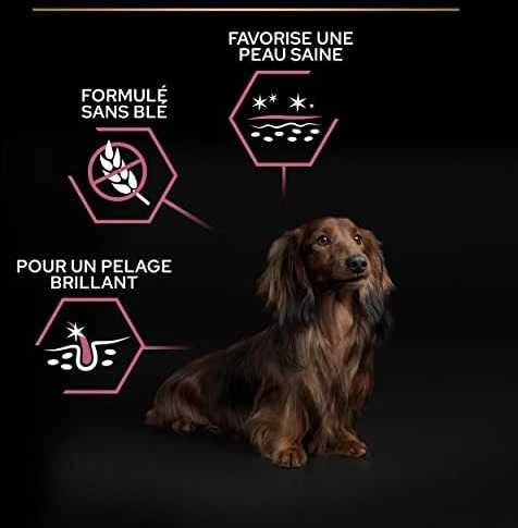 Purina Nestle Šunų Maistas - Purina Pro Plan Suaugusiųjų 7 Kg Lašiša