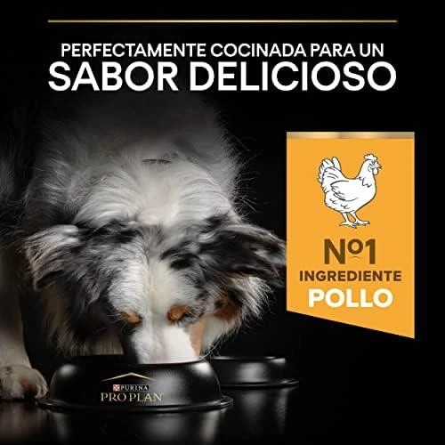 Purina Pro Plan OPTIWEIGHT All Sizes Adult Dog vištiena 14 kg, visų veislių suaugusių šunų sausas pašaras svoriui kontroliuoti
