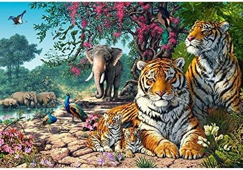 Castorland Dėlionė 3000 vnt. - Tigrai