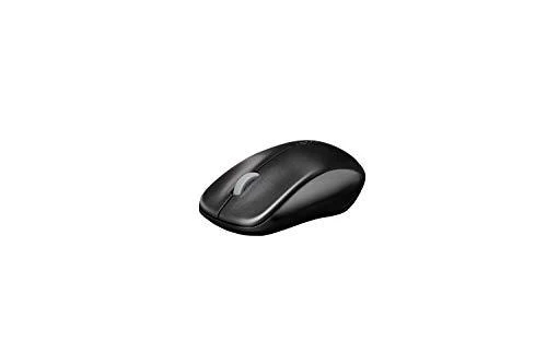 RAPOO Wireless Entry level 3 mygtukai Pelė 1620