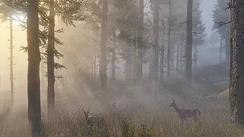 Red Dead Redemption 2 (PS4)