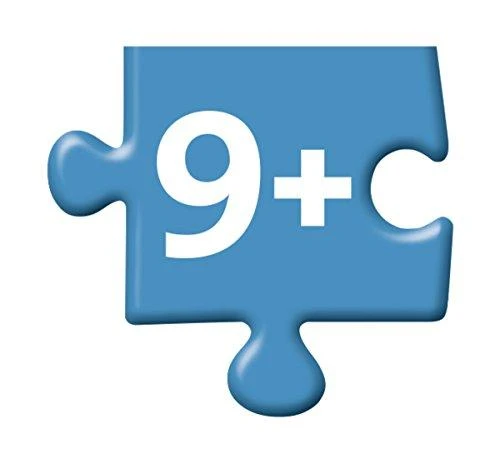 Coco Miguel and Friends Puzzle - Puzzle 300 - RAVENSBURGER dėlionė