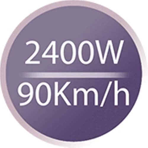 Plaukų džiovintuvas REMINGTON ( 2400 W , Juodas )