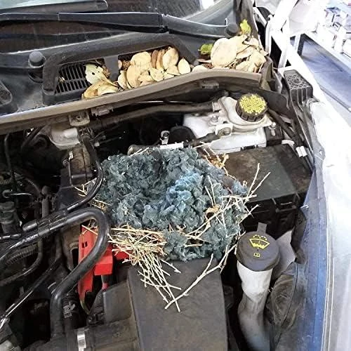 Automobilių graužikų repeleris - Viano OS2