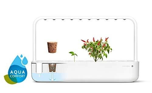 Click and Grow 3 vnt. papildymas - čili pipirų sėklos