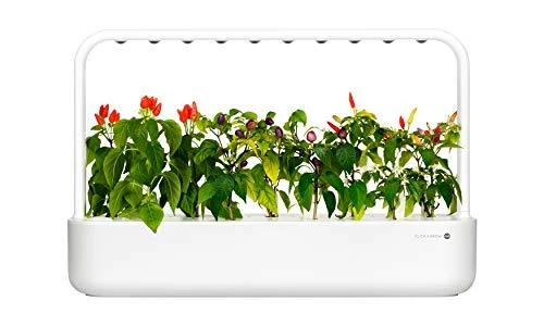 Click and Grow 3 vnt. papildymas - čili pipirų sėklos