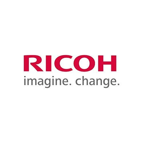 „Ricoh Waste Toneris Box“ (405783)