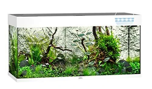 Juwel Akvariumas LED Rio 180 baltos spalvos 180l 101x41x50cm SPEC