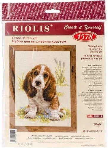 Riolis Basset Hound šuniukas 1578