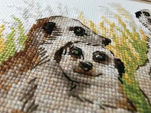 Meerkats siuvinėjimo rinkinys iš RIOLIS Nr.: 1761