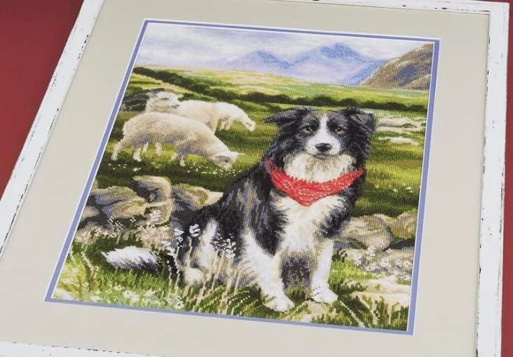Border Collie siuvinėjimo rinkinys iš RIOLIS Nr.: 1767