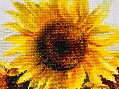 RIOLIS – Create It Yourself – Siuvinėjimo rinkinys „Karšta vasara“ 1488 (40x30 cm)