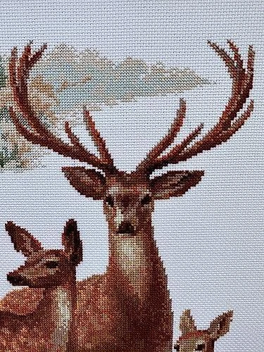 RIOLIS - Create It Yourself - Siuvinėjimo rinkinys „Elniai“ 1370 (40x50 cm)