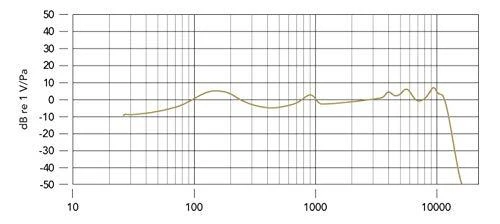Mikrofonas. Rode PodMic 126364