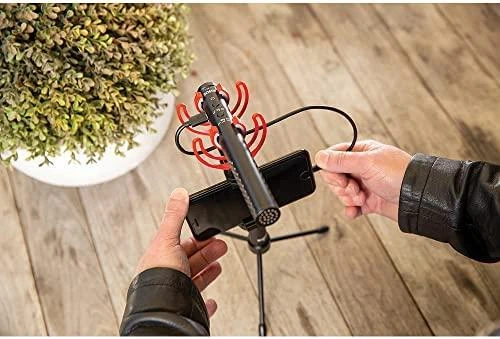 Mikrofonas Rode VideoMic NTG