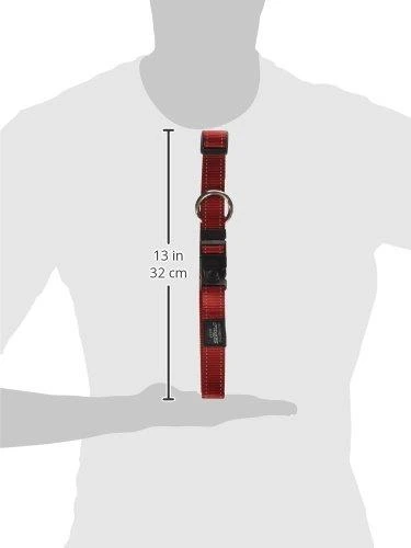 Rogz antkaklis atšvaitas šuniui Reflective HB05C (plotis 2,5cm; apimtis 43-70cm)