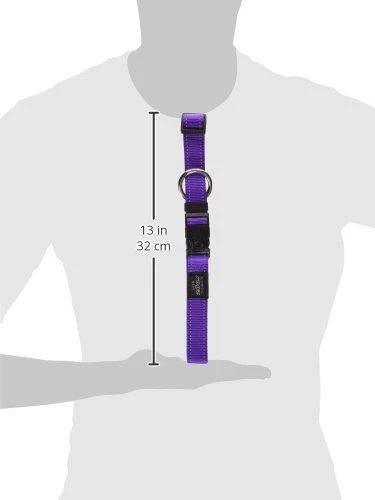 Rogz antkaklis atšvaitas šuniui Reflective HB05E (plotis 2,5cm; apimtis 43-70cm)