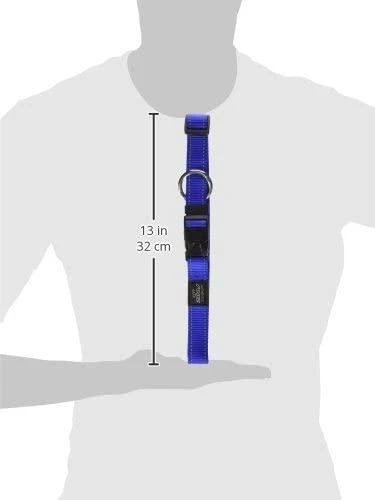 Rogz antkaklis atšvaitas šuniui Reflective HB05J (plotis 2,5cm; apimtis 43-70cm)