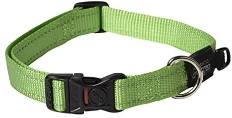 Rogz antkaklis atšvaitas šuniui Reflective HB06L (plotis 2cm; apimtis 34-56cm)