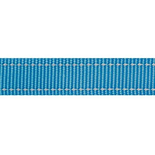 Rogz pavadėlis atšvaitas šuniui Reflective HL06F Žydras (plotis 2cm; ilgis 140cm)