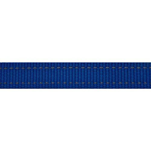 Rogz pavadėlis atšvaitas šuniui Reflective HL05B Mėlynas (plotis 2,5cm; ilgis 120cm)
